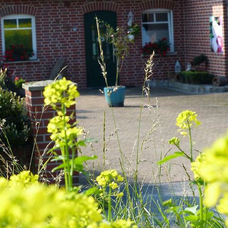 Fewo Emsland Emsbüren Eksteriør bilde